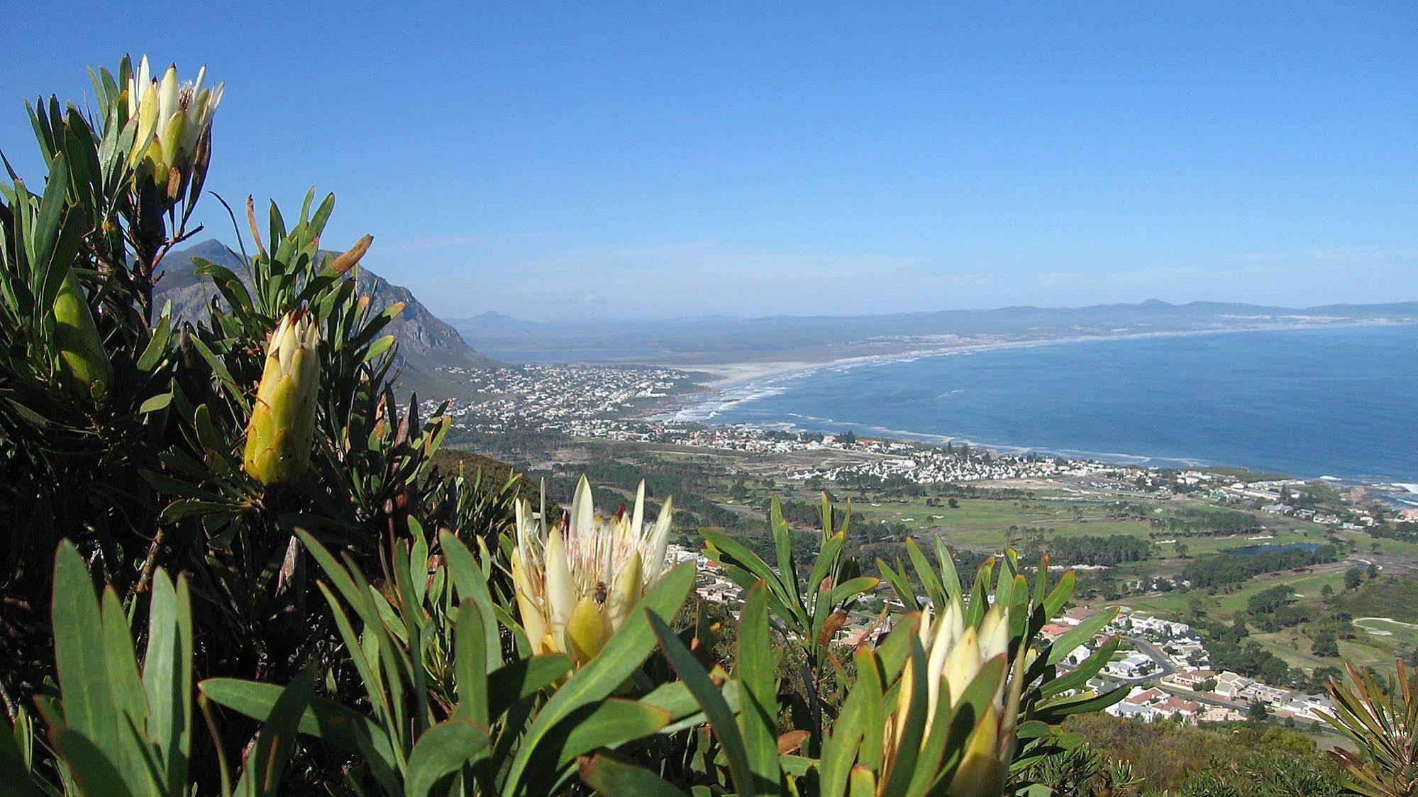 Somerset Sights B&B Somerset West Eksteriør billede